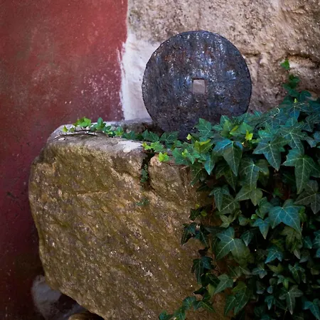 Maison De Charme, Jardin Et Piscine Proche D'uzes *